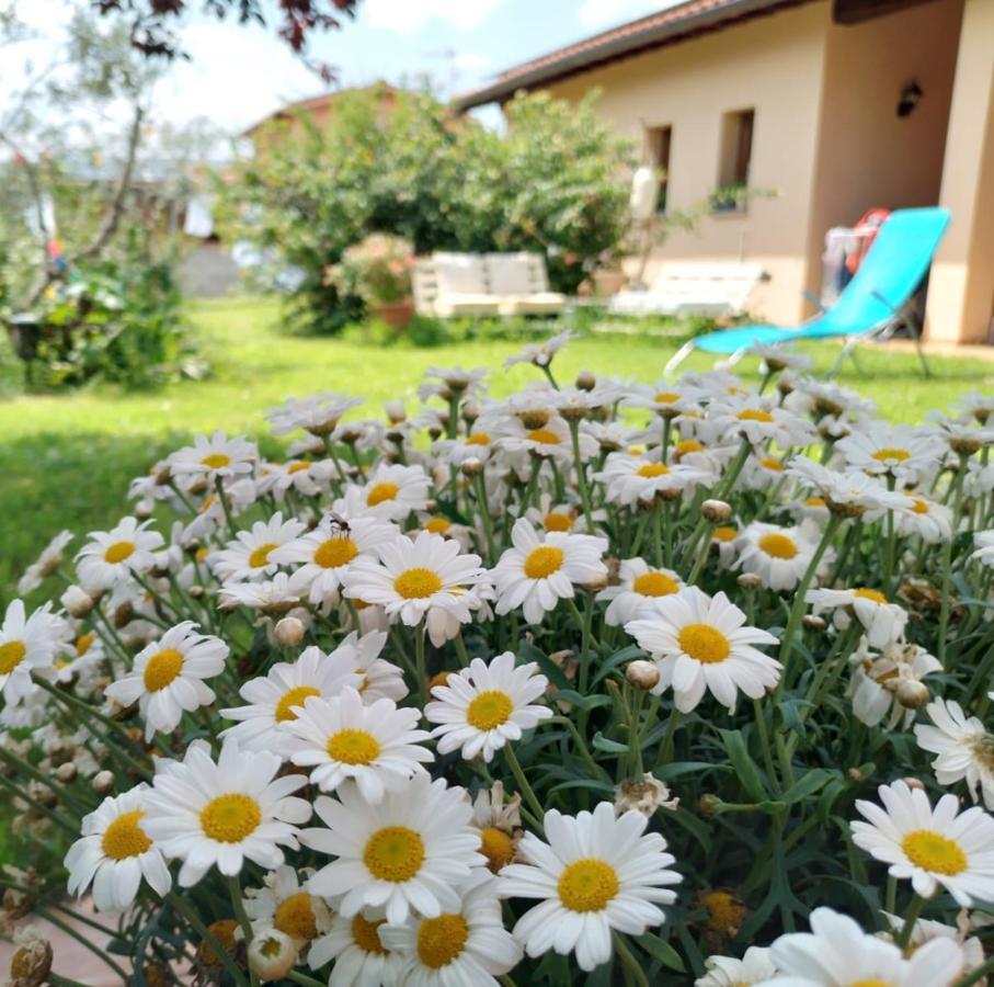 Bnb A La Maison Реджелло Экстерьер фото