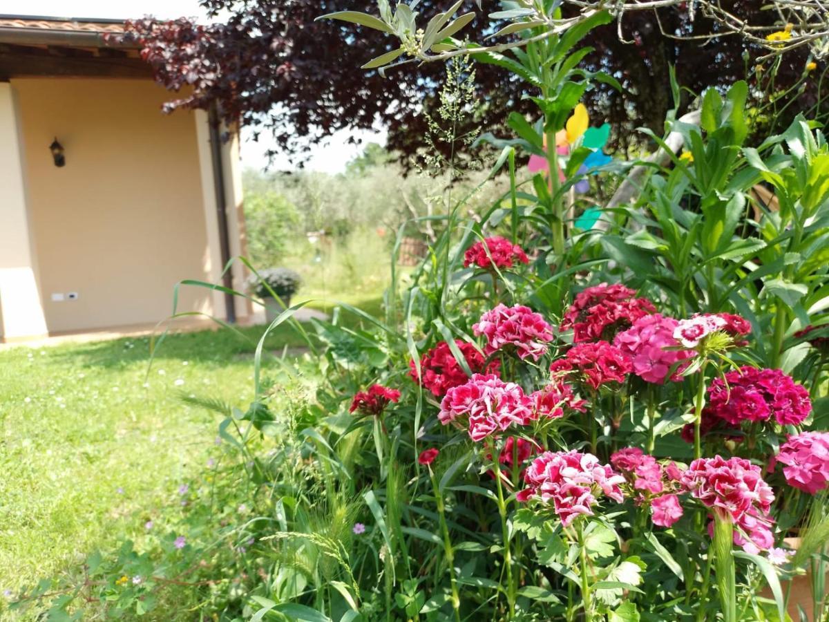 Bnb A La Maison Реджелло Экстерьер фото